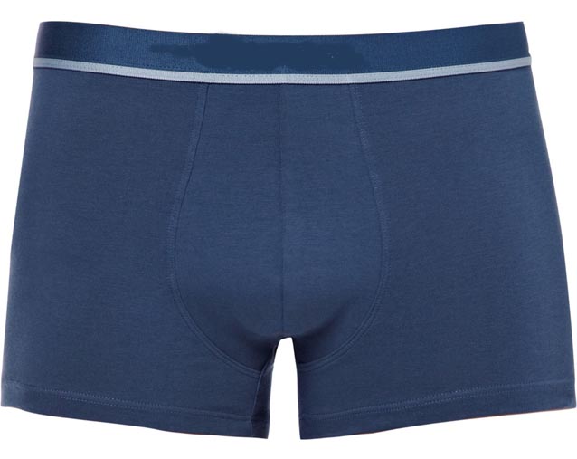 100% Silk boxer briefs Manufacturer